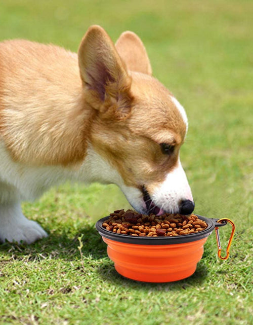 Load image into Gallery viewer, Collapsible Dog Bowls, 2 Pack, Portable Pet Feeding Watering Dish for Traveling with Carabiners (Small, Orange+Pink)
