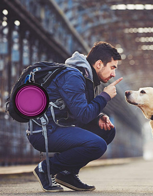 Load image into Gallery viewer, Large Collapsible Dog Bowls, 34Oz Travel Water Food Bowls Portable Foldable Collapse Dishes with Carabiner Clip for Traveling, Hiking, Walking, 2 Pack
